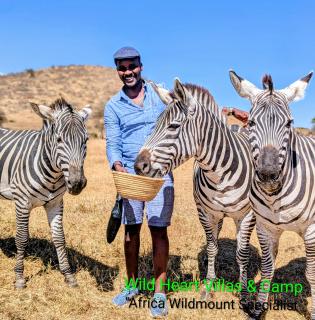wild heart and camps villas - 8