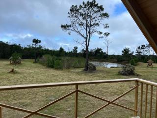 Plett Ironwood Tiny House - 6