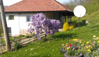 Kuća Jutarnja Idila, Seosko domaćinstvo - 3