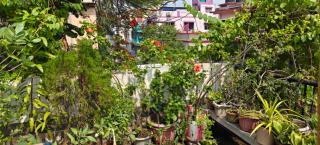 The Garden Nest Kolkata - 9