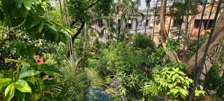 The Garden Nest Kolkata - 8