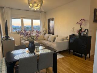 Stan na dan Bor Apartman - 0