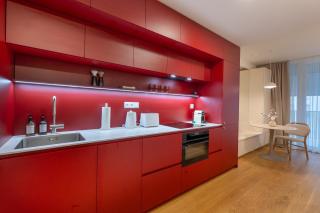 Vydrica by Ellements, brand new designer apartment - 9