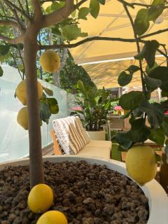 Hotel Dolcevita - 6