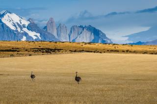 Explora Torres del Paine Conservation Reserve - 5