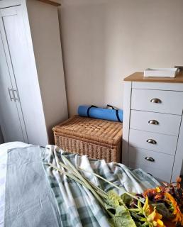 Luxury Quiet Room near Torbay Hospital - 4
