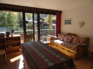 Résidence Les Balcons De La Vanoise - LES BALCONS DE LA VANOISE - BV504 MAE-5004 - 4