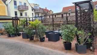 Pension Ott - 4