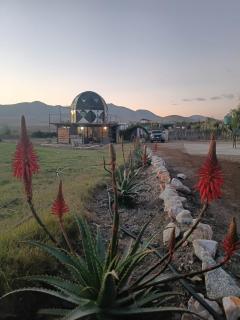 El eden en el desierto florido - 4