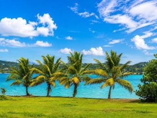 Relaxing Luxury Villa Private Beach Pool AC WiFi - 7