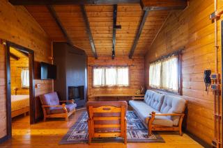 Chalet Nelle Vigne - 1