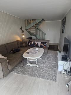 The Arctic Nest - 1