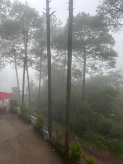 Jungle Holiday Home 3Bhk senic Apartment - 7