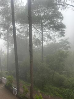 Jungle Holiday Home 3Bhk senic Apartment - 3