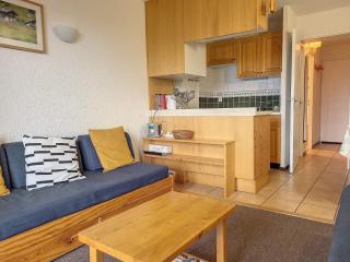 Les Chalets De La RosiÈre - Appartement de 31m² pour 5 personnes MAE-3314 - 4