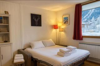 Cosy studio with view of Brévent - 6