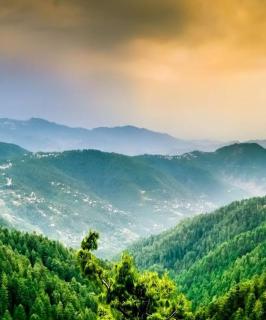 Mount View Guest House Nathia Gali Sajjan Gali - 1