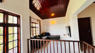 Wild Olive Tree Hostel - 2