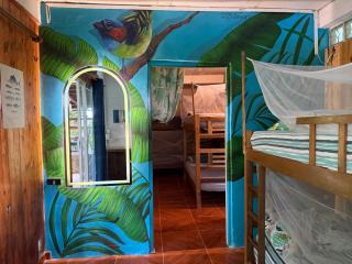 Hostal CASA COLIBRI MINCA - 0