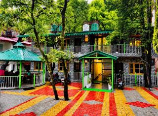 The Boho Heritage Woods - 0