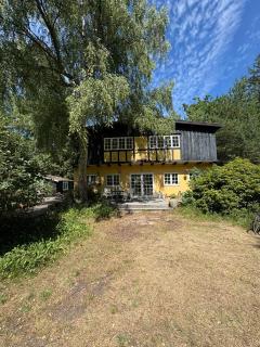 Gyvelhus - Vacation home with its own forest, close to the beach - 9