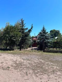 Forest House Issyk-Kul - 2