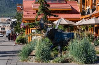 Moose Hotel and Suites - 3