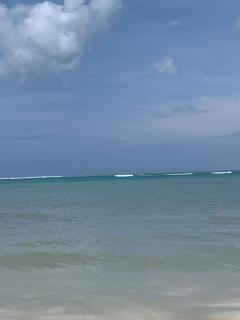 Downtown-5-Min Walk to the Beach - 5
