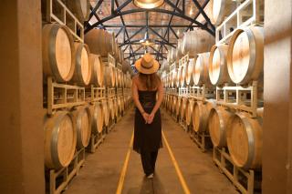 Trobbu Boutique Collection San Miguel de Allende - All Inclusive - 1