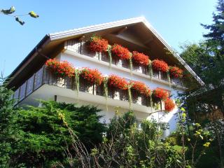 Ferienhaus Vogelsang - 8