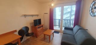 Chalets Du Thabor - apartement 2 pieces pour 2-4 personnes MAE-3874 - 9