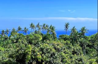Tenang Saja Villa Suatu Hari - 4
