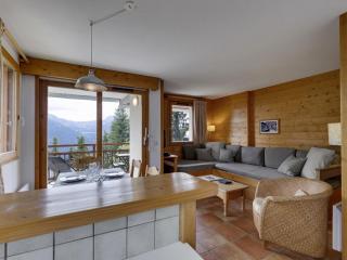 Appartement charmant vue montagne - 4 pers. - FR-1-690-42 - 1