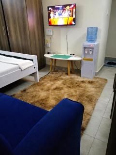 Lavish studio apartment - 1