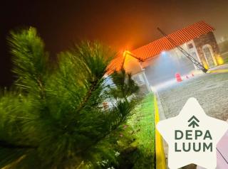 Depa LUUM Mazamitla - 1