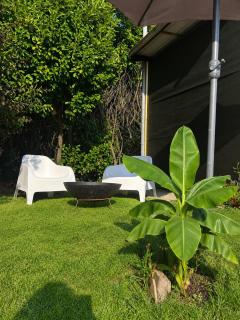 Parenthèse Vosgienne - Votre bulle de nature - 8