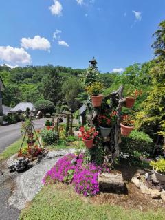 Gîte de France à Lissac sur Couze 3 épis - Gîte de France 4 personnes MAE-6524 - 5
