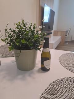 Apartman MWM Olomouc - 3