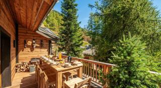 Chalet Les Sources De La Davie - Chalet LES SOURCES de la DAVIE services hôteliers MAE-8981 - 3