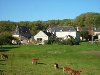 Gîte de France A l'orée des bois 3 épis - Gîte de France 6 personnes MAE-9334 - 5