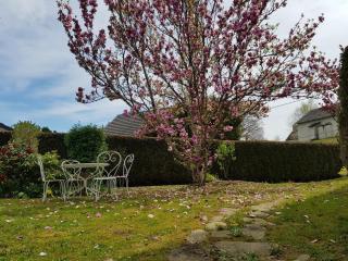 Gîte de France Les hortensias 3 épis - Gîte de France 2 personnes MAE-9614 - 7