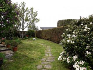 Gîte de France Les hortensias 3 épis - Gîte de France 2 personnes MAE-9614 - 2