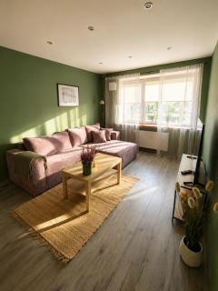 Wolfinn Comfort Apartment Siauliai Center - 3