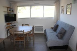 Appartement à la Mongie avec accès direct aux pistes - Appartement 3 Pièces 6 personnes MAE-1230 - 8