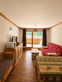 Résidence L'edelweiss - Appartement 3 pièces - 6 personnes MAE-2193 - 0