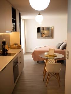 AR Apartamento Premium Parque O’Higgins DOMEYKO - 4