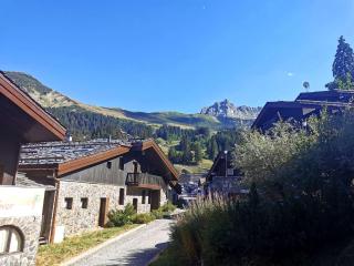 Résidence Ruelle - La Ruelle 2 - Studio divisible, skis aux pieds, proche rue piétonne MAE-4914 - Valmorel - 1