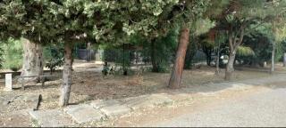 Roseto Apartment - 1