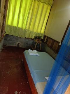Arenas corcovado lodge - 5