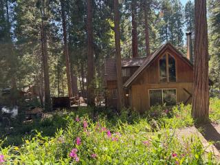 Hidden Creek Cabin Rustic Forest Retreat - 9